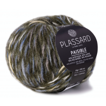 Pelote De Fil Plassard - Paisible - Sapin 79