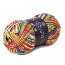 Pelote De Fil Plassard - Festiva - Multicolore 98