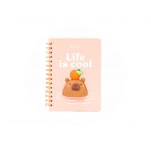 Carnet Mr. Wonderful - Orange – A5 – Squishy Capybara - Mr Wonderful