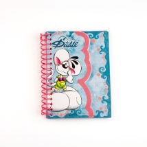 Carnet Diddl - A6 10,5 X 14,8 Cm - Modèle Aléatoire - Vendu À L'Unité