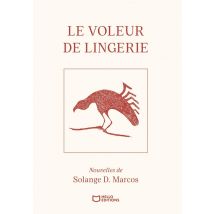 Le Voleur De Lingerie