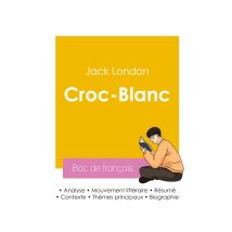 Réussir Son Bac De Français 2026 : Analyse Du Roman Croc-blanc De Jack London