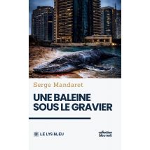 Une Baleine Sous Le Gravier