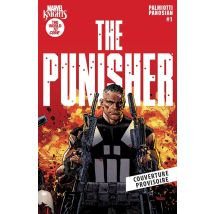 Marvel Knights Punisher
