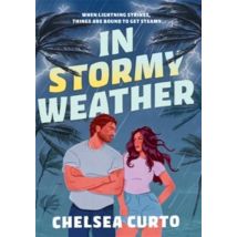 In Stormy Weather : The Brand-new For 2026 Scorching Hot, Rivals To Lovers Romance From The Bestselling Author Of The Dc Stars Series!