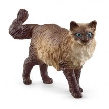 Chat Ragdoll - Schleich