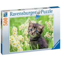 Puzzle 500 Pièces - Chaton Dans La Prairie - Ravensburger