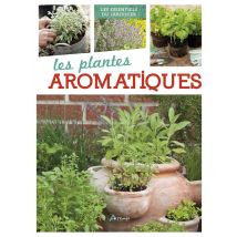 Plantes Aromatiques