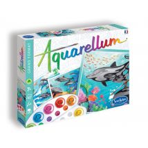 Aquarellum dauphins - Sentosphère