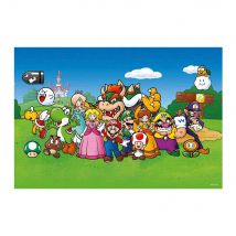 Puzzle 500 Pièces - Super Mario And Friends - Winning Moves