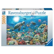 Puzzle De 5000 Pièces - Sous La Mer - Ravensburger