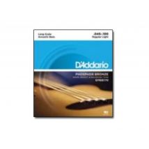 D'Addario - Cordes Basse Acoustique - Pb45-100