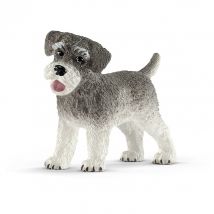 Figurine Schnauzer Nain - Schleich