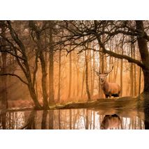 Puzzle 500 Pièces - Peace Puzzle - Rustling Silence - Clementoni