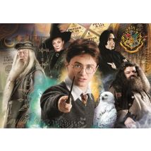 Puzzle 1000 Pièces - Harry Potter - Clementoni