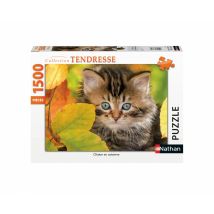 Puzzle Chaton Automne - 1500 Pièces - Nathan