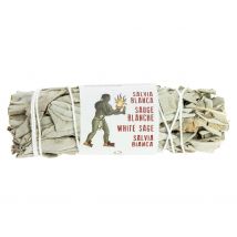 Sauge Blanche De Californie - 8-11 Cm - Tierra Zen