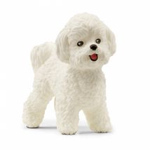 Bichon Frisé - Schleich