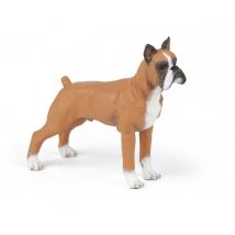 Boxer - Papo