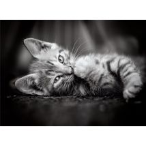 Puzzle 1000 Pièces - High Quality Collection - Kitty - Clementoni