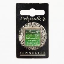 Peinture Aquarelle Miel 1/2g - Vert Hooker - Sennelier