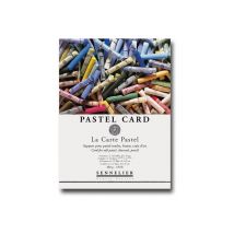 Bloc Pastel Card Sennelier- 24x32 - 340g - 12 Feuilles