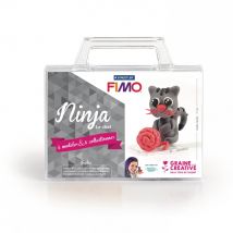 Valisette Figurine Fimo - Ninja Le Chat De Miss Créatives - Graine Creative