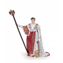 Napoléon Bonaparte (1769-1821) Est Le Premier «empereur Des Français». Général Dans L'Armée Sous La 1ére République, Il Parvient Au Pouvoir Par Le