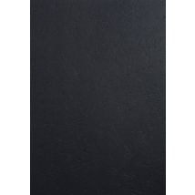 Couvertures Exacompta - Grain Cuir - Noir - Pour Reliure A4