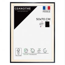 Cadre 50 X 70 Palma Noir - Ceanothe