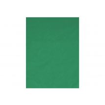 T'Nb Influence - Arrière-plan - Cotonnade - 1.5 M X 2 M - Incrustation Couleur - Vert