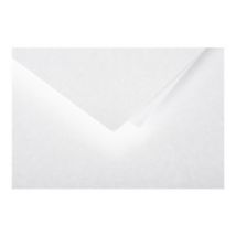 25 Cartes Pliées Pollen 110x155 Mm - Blanc Irisé - Clairefontaine