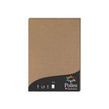 1 Étui De 50 Feuilles Pollen 210 X 297 Mm 120 G - Kraft - Clairefontaine