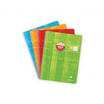 1 Cahier Reliure Intégrale Clairefontaine Spécial Déficients Visuels 24x32 Cm 100 Pages Grands Carreaux - Modèles Assortis