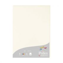 Etui De 25 Feuilles A4 - 210g - Blanc Naturel - Pollen