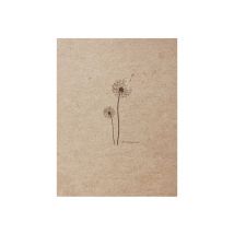 Carnet Flying Spirit 16 X 21 Cm - 120 Feuilles - Clairefontaine