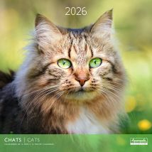 Calendrier Mural 2026 Pictura - Chat - 30 X 30 Cm