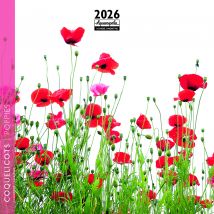 Calendrier Mural 2026 Pictura - Coquelicots - 16 X 16 Cm