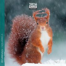 Calendrier 2026 Pictura - Écureuils - 16 X 16 Cm