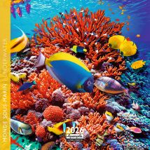 Calendrier 2026 Pictura - Monde Sous-marin - 16 X 16 Cm