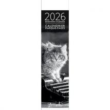 Calendrier Marque-pages 2026 Pictura - Chat Noir Et Blanc