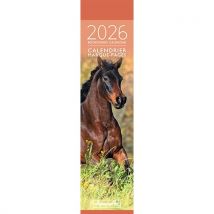 Calendrier Marque-pages 2026 Pictura - Photo Chevaux
