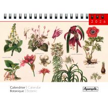 Calendrier De Bureau Chevalet 2026 Pictura - Botanique