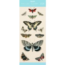Calendrier Mural 2026 Pictura - Papillons