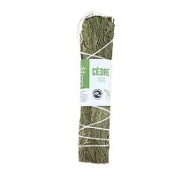 Tresse De Cèdre Aromandise - 15 Cm