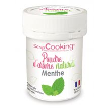 Poudre D'Arôme Naturel Scrapcooking - Menthe - 15 G - Scrapcooking