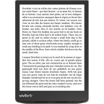 E-book Liseuse Vivlio Inkpad 4