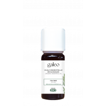 Tea Tree - Huile Essentielle Bio Ab - Galeo - Galéo