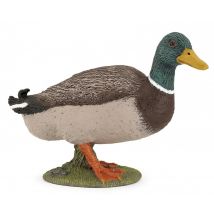 Figurine Papo - Canard Colvert