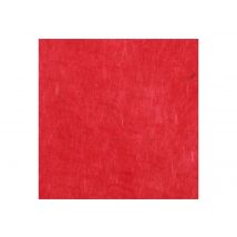 Feuille De Papier Lokta - 50x70 - Tomato - Papertree